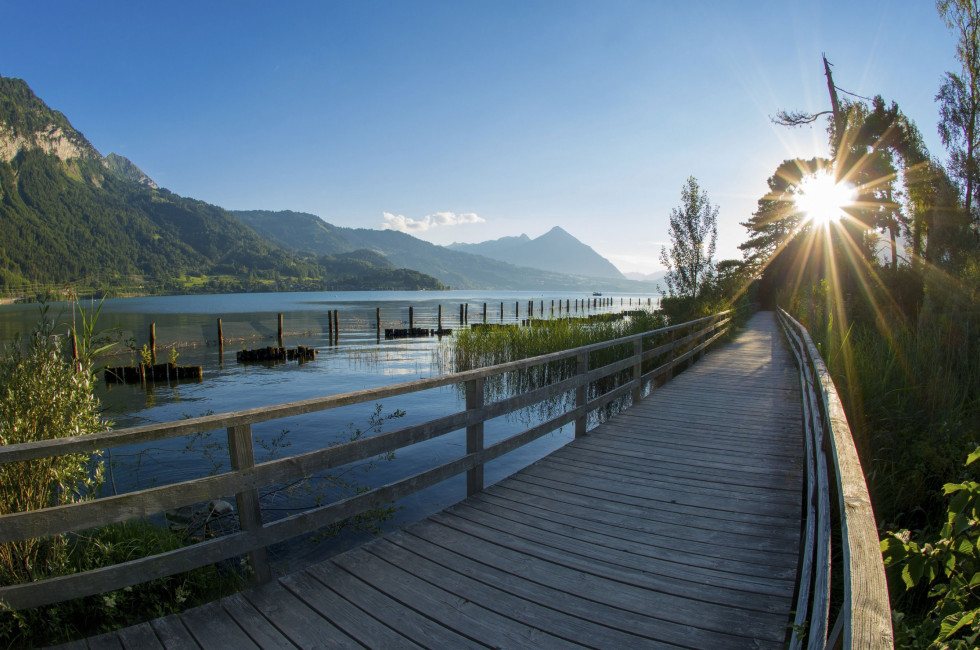 Ausflüge Auf Dem Thuner- Und Brienzersee | BLS-Schiff